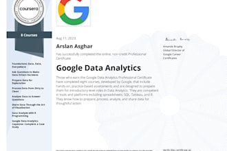 provide expert data analysis custom dashboards