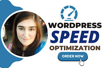 lightning fast wordpress speed optimization for SEO using wp rocket, autoptimize