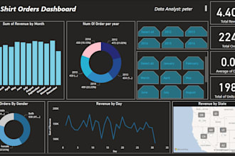 do a professional power bi sales dashboard to visualize your sales performance
