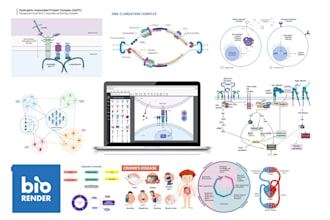 make scientific medical diagram figures, illustrations and graphical abst