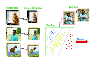 do image classification and object detection using yolo