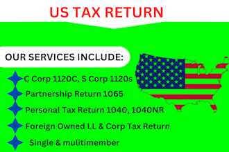 file US tax return, form 1120, 1040nr, 1065, 1120f, 1023, 990