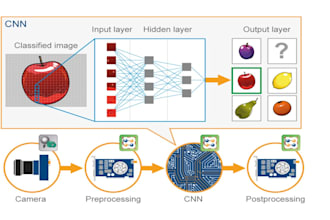 computer vision facial detection camera api yolo image processing deep learning