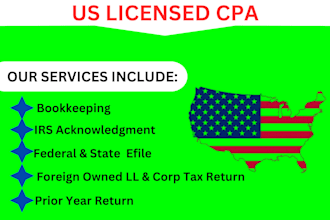 do certified CPA for financial audits, statement reviews, and official letters