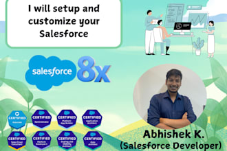 setup and customize your salesforce