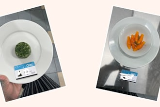 expert cookery assignment content writing guidance