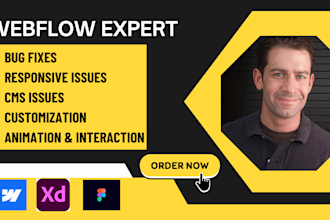 fix webflow issues, bugs and optimize  webflow website
