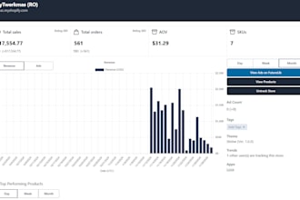 do a professional audit of your shopify or ecommerce store
