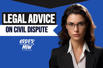 provide expert legal opinion, legal advice and consulting