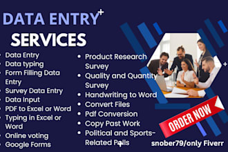 do data entry copypaste formfilling excel word