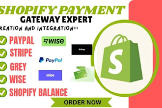 provide you a shopify payment and shopify balance
