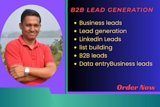 do b2b lead generation, web scraping and data entry through web research