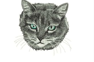 do embroidery digitizing for embroidery design, embroidery patch, digitize image