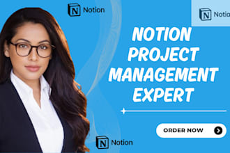 do notion virtual assistant, notion template, notion expert