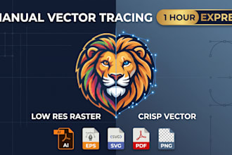 do urgent vector tracing and redraw logo any file type