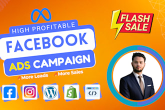 create and optimize profitable facebook and instagram ads campaign