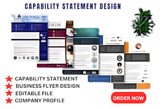 design government capability statement, government contract capability statement