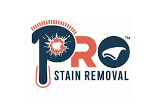 make stain removal cleaning logo