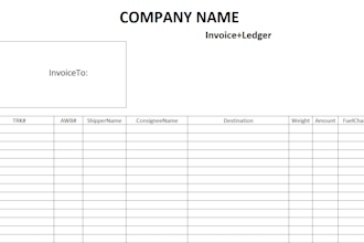 professionally create excel templates or work sheets