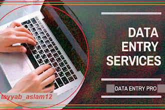 be your virtual assistant, data entry, copy paste, web research, data mining