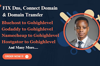 fix dns issues, connect your godaddy, and domain transfer on gohighlevel