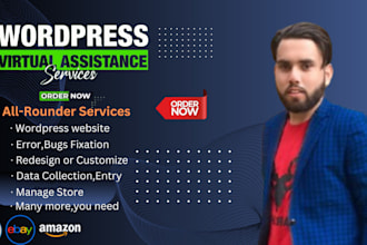manage and maintain your wordpress website professionally