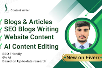 write blogs, article, SEO content, website content and edit ai writing