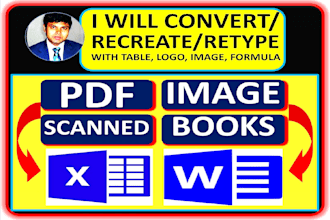 convert pdf to word, pdf to excel data entry typing, file conversion, copy paste