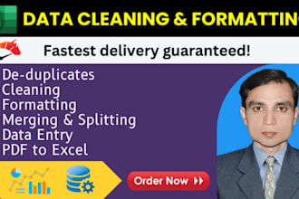 clean, split, and format your excel data