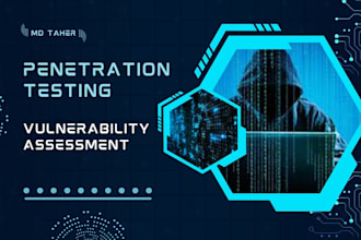 expert penetration testing and comprehensive vulnerability assessment services