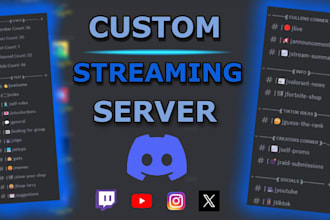 make you a professional discord server for streamers