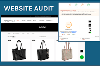 provide a detailed web audit to maximize your online success