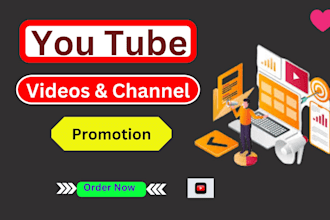 be your youtube channel SEO expert and do organic video promotion