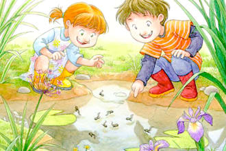 children story book illustration children story book