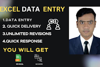 do data entry,data formatting, data split, excel data
