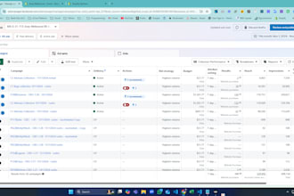 be your facebook ads expert for fashion, dropshipping