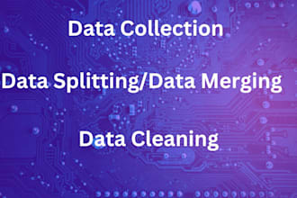 do data splitting, data cleaning,data merging