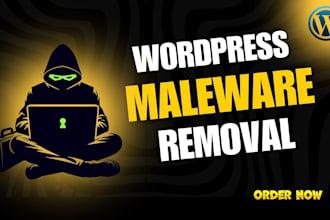 conduct a security check and remove malware from your wordpress website