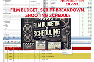 ensure a flawless pre production with film budget, schedule and breakdown