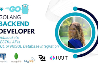 fix golang bugs and develop high quality apis
