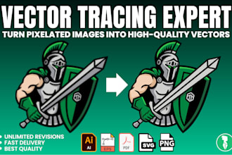 professionally vector trace your logo, image, or artwork with precision
