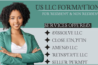 dissolve llc, reinstate llc, amend llc, ein, boi report , llc dissolution