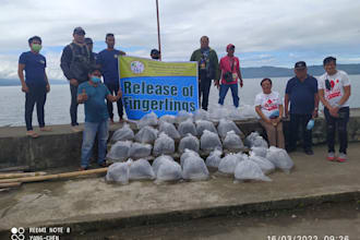 be your expert in fisheries and aquaculture services