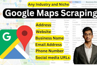 provide google maps scraping services any industries