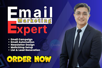 set up mailchimp automation, and email campaigns that drive results