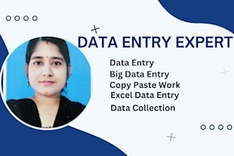 do data entry  excel data entry copy  paste  big data entry