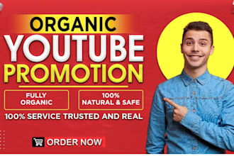 do organic youtube promotion and increase views, subscribers with google ads