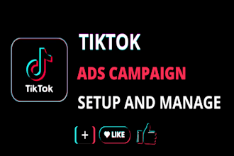run tik tok ads, tik tok ads manager, and tiktok marketing
