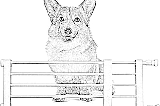 do any pencil sketch in a one day