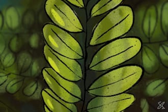 make 2d animation or stills in procreate and adobe fresco